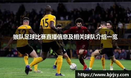 xk体育官网
